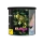 Blaze Dark Blend Tabak 200g - Black Lemenciaga