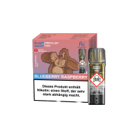 RandM Tornado Pods 2er Pack - Blueberry Raspberry