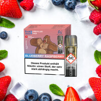 RandM Tornado Pods 2er Pack - Blueberry Raspberry