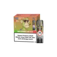 RandM Tornado Pods 2er Pack - Watermelon Ice