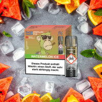 RandM Tornado Pods 2er Pack - Watermelon Ice