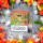 RandM Tornado Pods 2er Pack - Watermelon Ice