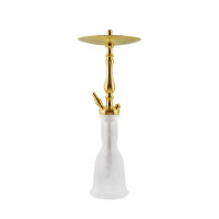 WD Hookah T1G-19