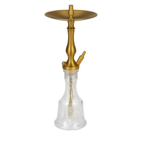 WD Hookah T1G-19