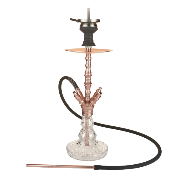 Mata Leon Shisha - Balthasar Pique