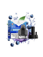 Arcbear Pro 15000 Pod Bundle - Blueberry Ice