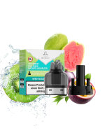 Arcbear Pro 15000 Pod Bundle - Kiwi Passionfruit Guava