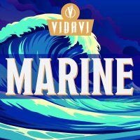 T&T | Vidavi Shisha Tabak 100g - Marine