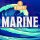 T&T | Vidavi Shisha Tabak 100g - Marine