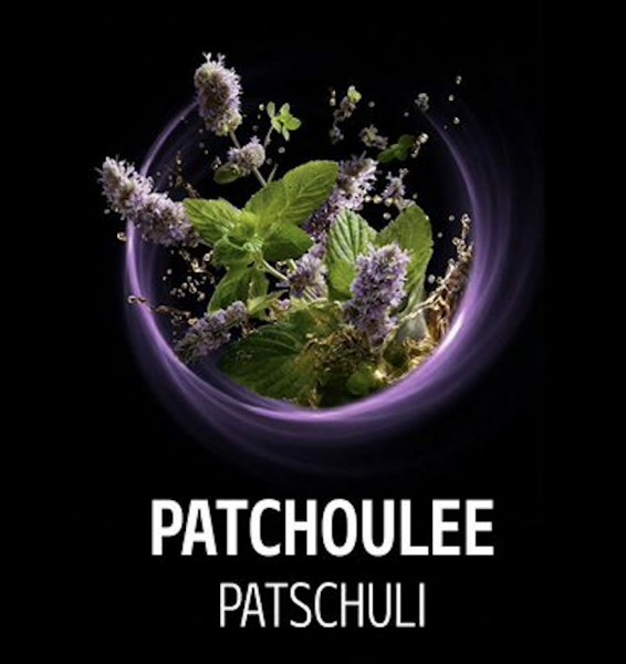 Craftium Shisha Tabak 100g - Patchoulee